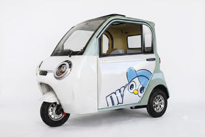 Passenger Electric Tricycles