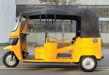 Electric Adult Tricycle 1000w 60v Trike Motorcycle Taxi 6 Seater Passenger Electric Tuk Tuk 3 Wheel Auto Rickshaw