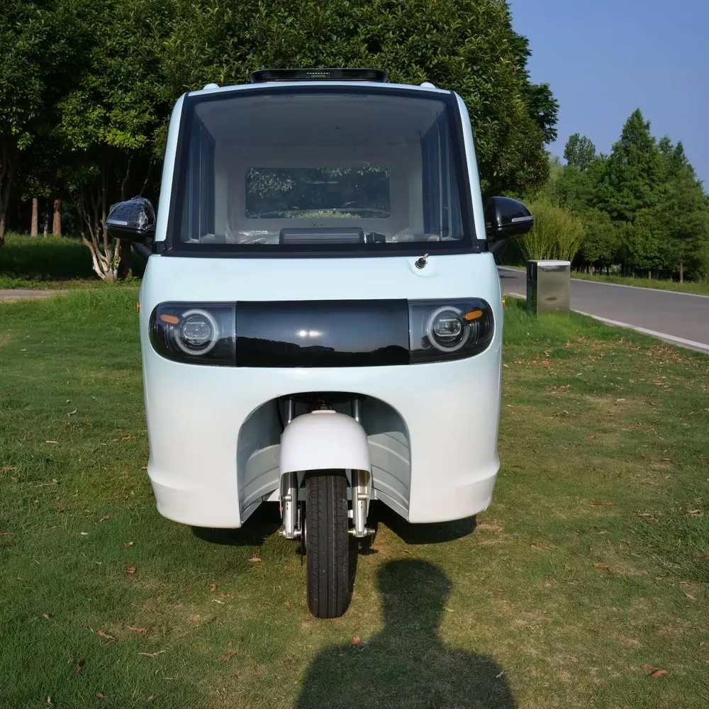 Electric Passenger Tricycle Fully Enclosed 4 Doors 60v 1000w Led Halo Headlight Alloy Wheels For Elderly Adults