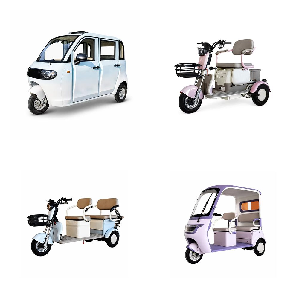 Fully Enclosed Electric Trike Keyless Start Roof Rack For Short Trips Eec Certified Seat Belts Reverse Gear Double Doors