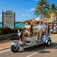 Tourism & Rental